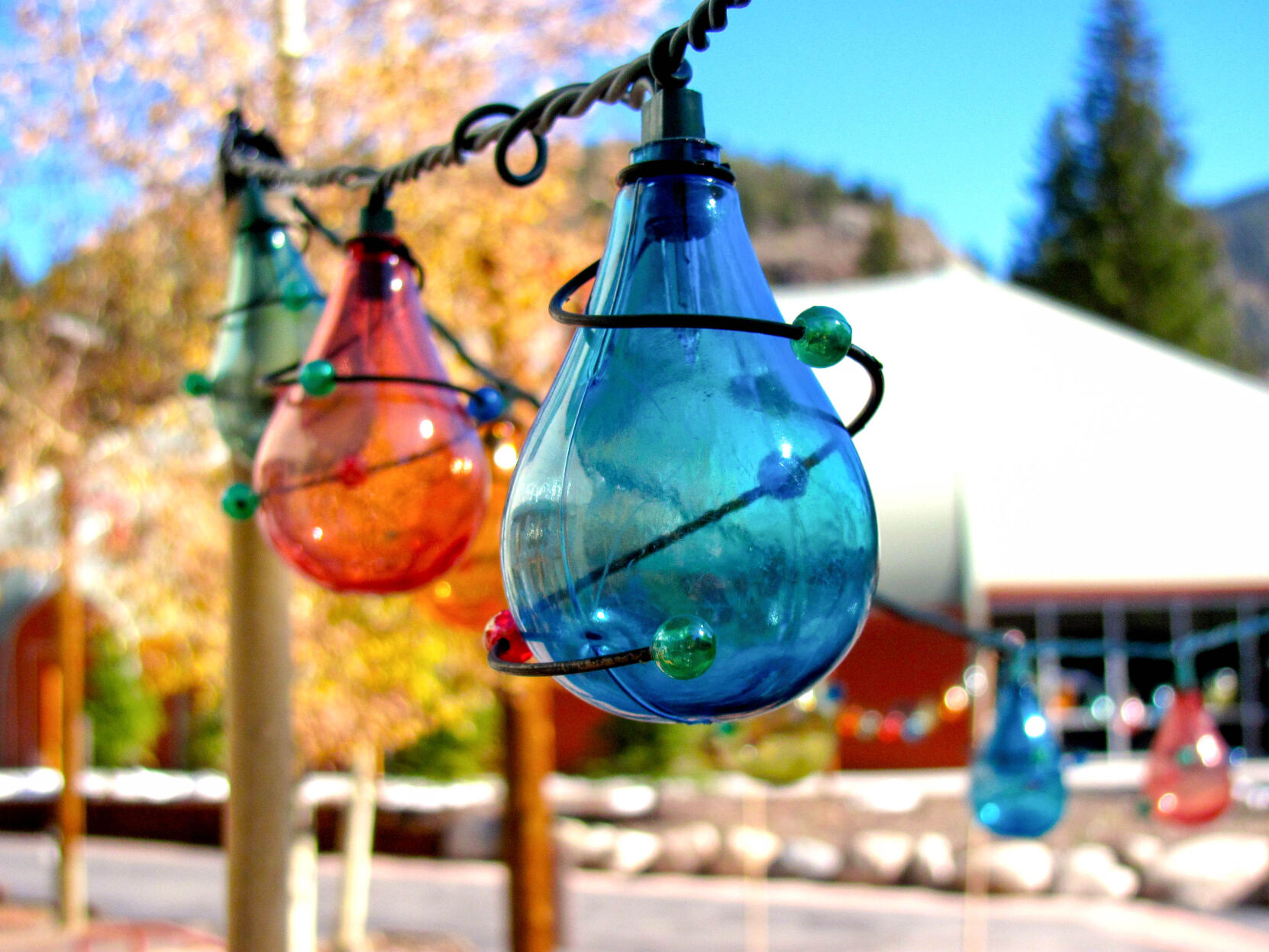 Light Bulbs